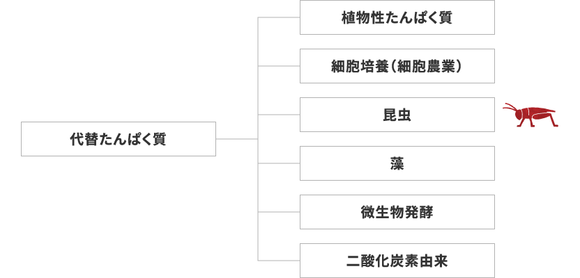 代替たんぱく質の種類