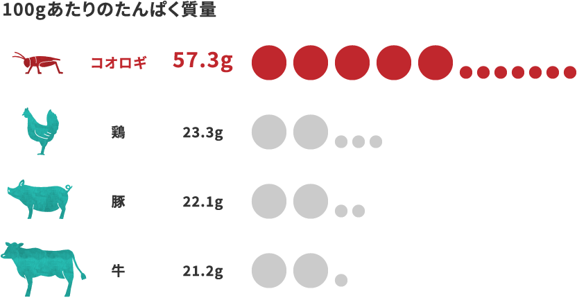 100gあたりのたんぱく質量を比較したグラフ